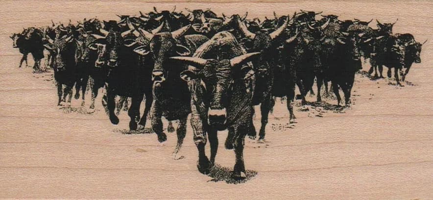 Stampede 3 x 6-0