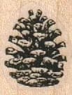 Pine Cone 3/4 x 3/4-0