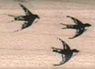Flying Bird Trio 3/4 x 1-0