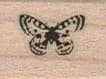 Butterfly 3/4 x 3/4-0