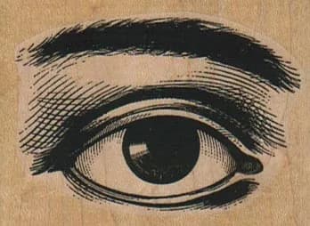 Eye & Brow 2 1/2 x 1 3/4-0