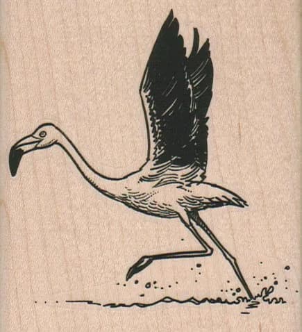 Flamingo Taking Off 3 x 3 1/4-0
