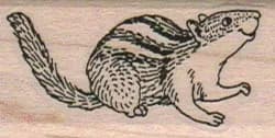 Chipmunk 1 x 1 3/4-0