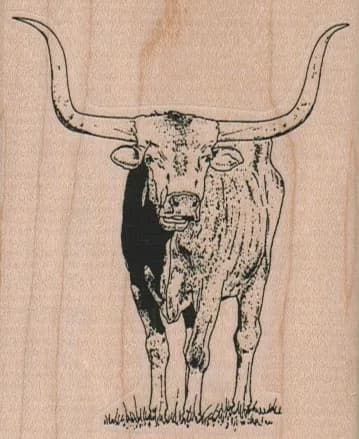 LongHorn Steer 2 1/2 x 3-0