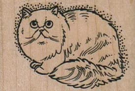 Persian/Himalayan Cat 2 x 1 1/4-0