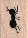 Standing Ant Small 3/4 x 3/4-0