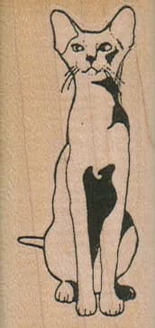Egyptian Siamese Cat 1 1/4 x 2 1/2-0