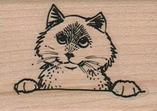 Cat Looking Up 1 3/4 x 2-0