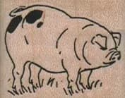 Spotted Pig Facing Right 1 1/4 x 1-0