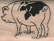 Spotted Pig Facing Left 1 1/4 x 1-0