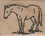Horse Facing Left 1 x 1-0
