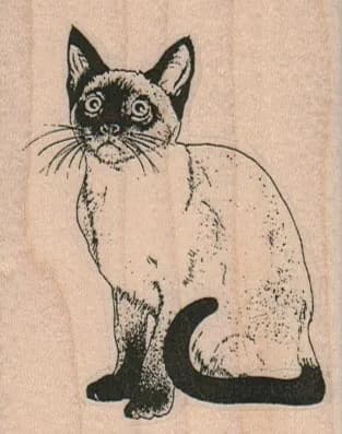 Siamese Cat 2 1/4 x 2 3/4-0