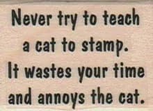Never Try To Teach A Cat To 1 1/4 x 1 1/2-0