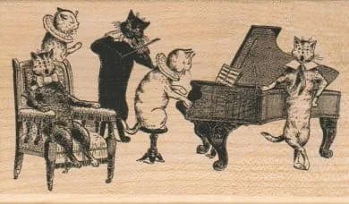 Cat Recital 3 x 5-0