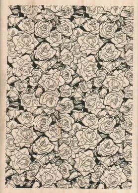 Rose Background 4 x 5 1/2-0