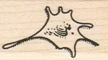 Pigeon Splat 1 x 1 1/2-0