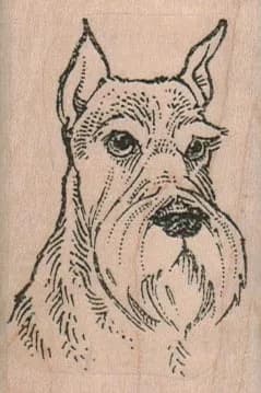 Schnauzer Head 1 3/4 x 2 1/2-0
