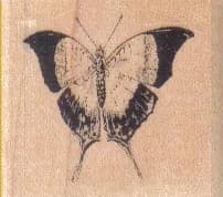 Butterfly Solid Wing Tips/Small 1 1/2 x 1 1/4-0