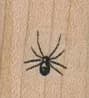 Teensy Spider 3/4 x 3/4-0