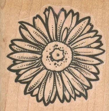Daisy 2 x 2-0