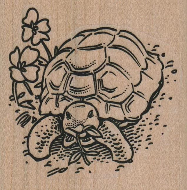Desert Tortoise Eating 2 1/4 x 2 1/4-0