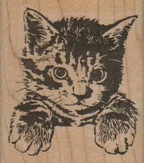 Cat Paws 2 x 2 1/4-0
