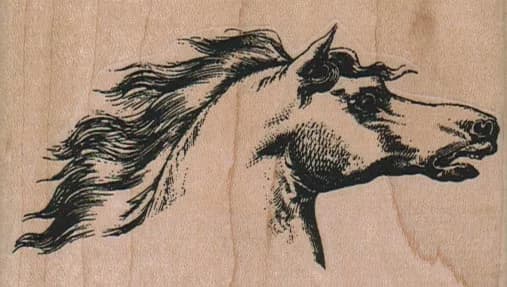 Horse Head 3 1/2 x 2-0