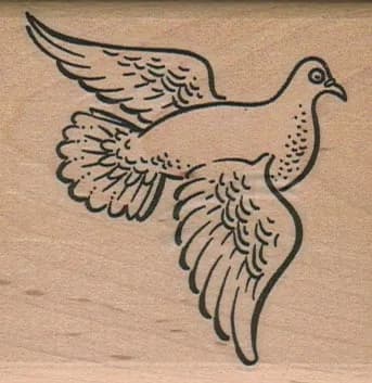 Dove 2 1/2 x 2 1/2-0