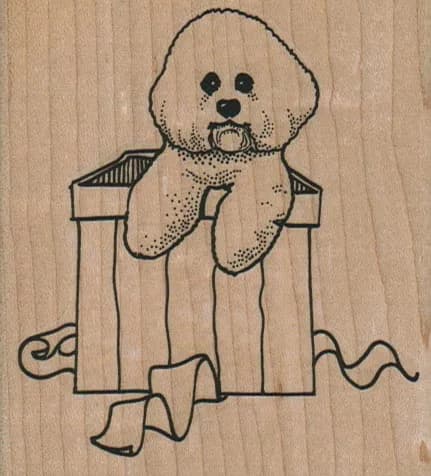Bichon In Gift Box 3 x 3 1/4-0