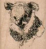 Koala Bear/Med 1 3/4 x 1 3/4-0
