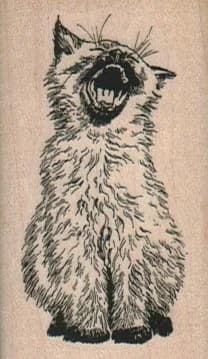 Screaming Cat 1 1/2 x 2 1/2-0