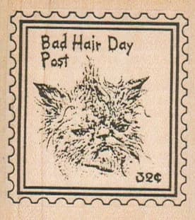 Bad Hair Day Post 2 x 2 1/4-0