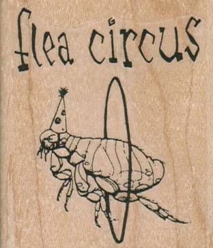 Flea Circus 2 1/4 x 2 1/2-0