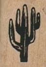 Saquero Cactus 3/4 x 1-0