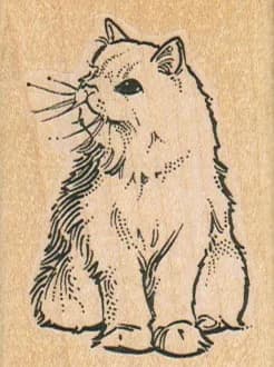 Cat Looking 1 3/4 x 2 1/4-0