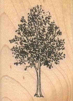 Leafy Tree 1 1/2 x 2-0
