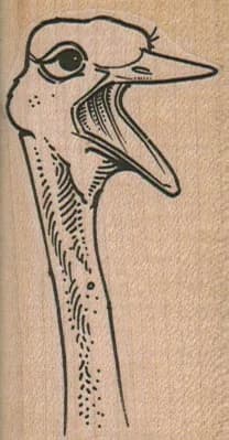 Ostrich Head 1 1/2 x 2 3/4-0