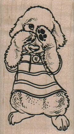 Sad Bichon Dog Rubbing Eyes 1 3/4 x 3-0