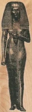 Mummy Case/Female 1 3/4 x 5 3/4-0