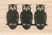 Owl Trio 1 x 1 1/4-0