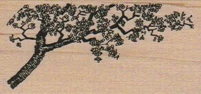 Cherry Blossom Tree 1 1/2 x 2 3/4-0