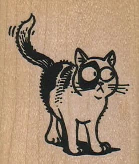 Cat Looking Askance 2 x 2 1/4-0