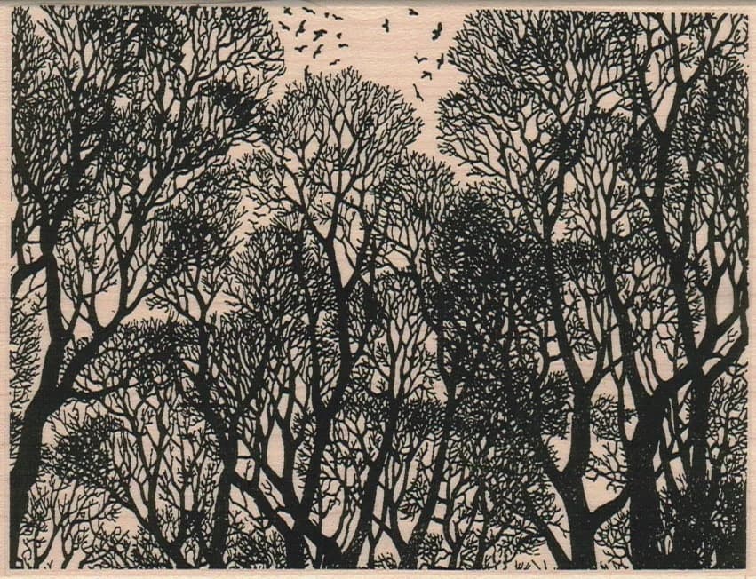 Tree Background 4 1/2 x 5 3/4-0