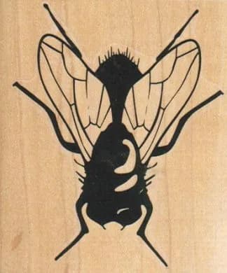 Fly (Medium) 2 3/4 x 3-0