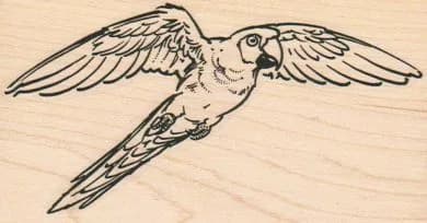 Flying Parrot 2 1/4 x 4 1/4-0