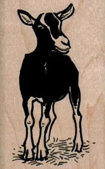 Black & White Goat 1 1/2 x 2 1/4-0