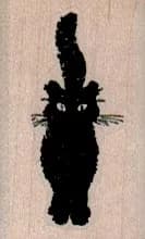 Black Cat Face On 1 x 1 1/2-0