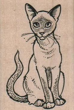 Siamese Kitty Staring Intently 1 3/4 x 2 3/4-0