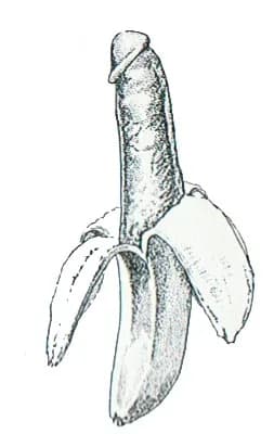 Banana Peeling/Small 1 1/2 x 2 1/2-0