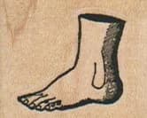 Foot 1 1/4 x 1-0